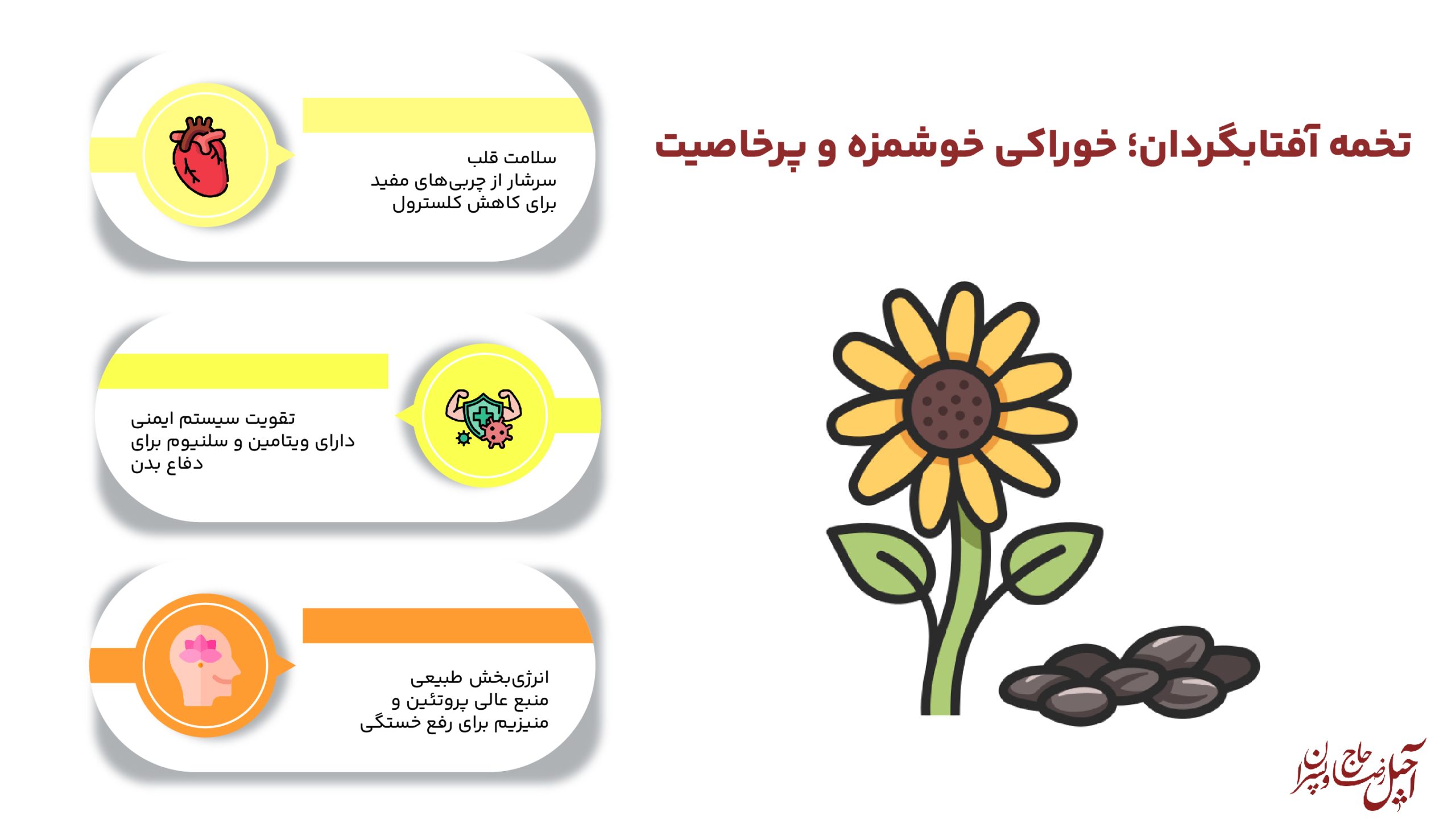 اینفوگرافیک تخمه آفتابگردان