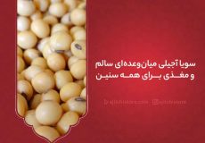 سویا آجیلی