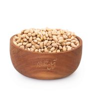 سویا آجیلی آجیل چی