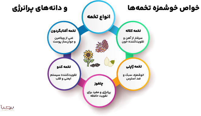 اینفوگرافیک انواع تخمه